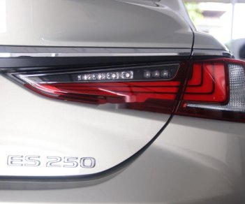 Lexus ES  250   2020 - Bán xe Lexus ES 250 sản xuất năm 2020, màu bạc, nhập khẩu