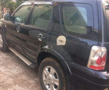 Ford Escape   2004 - Bán xe Ford Escape đời 2004, xe đang rất đẹp