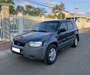 Ford Escape 2002 - Bán Ford Escape đời 2002, màu xanh lam còn mới