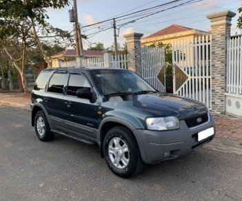 Ford Escape 2002 - Bán Ford Escape đời 2002, màu xanh lam còn mới