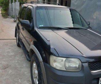 Ford Escape 2002 - Cần bán Ford Escape 2002, màu xám, nhập khẩu nguyên chiếc