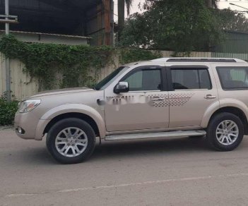 Ford Everest    2015 - Cần bán Ford Everest sản xuất năm 2015, màu phấn hồng, 535 triệu