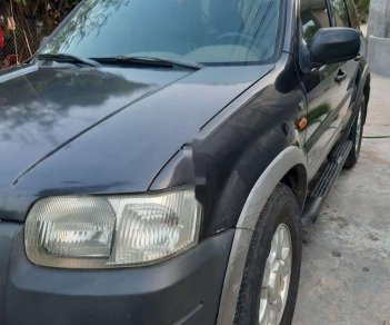 Ford Escape 2002 - Cần bán Ford Escape 2002, màu xám, nhập khẩu nguyên chiếc