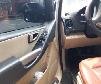 Hyundai Grand Starex     2010 - Bán xe Hyundai Grand Starex sản xuất năm 2010, nhập khẩu nguyên chiếc