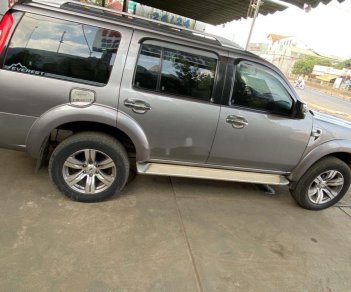 Ford Everest   2010 - Bán Ford Everest năm 2010, màu bạc, chính chủ