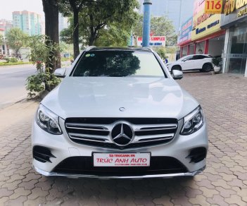 Mercedes-Benz GLC-Class  300 2017 - Bán ưu đãi với chiếc Mercedes Benz GLC 300, sản xuất 2017, màu bạc, giao nhanh