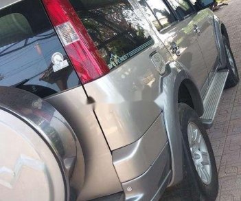 Ford Everest 2009 - Bán Ford Everest 2009, màu xám, giá tốt