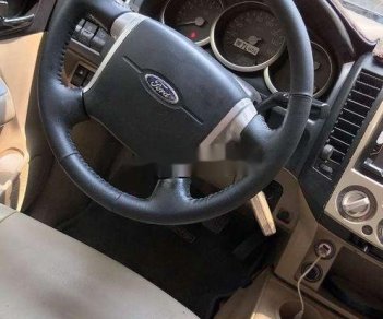 Ford Everest 2009 - Bán Ford Everest 2009, màu xám, giá tốt