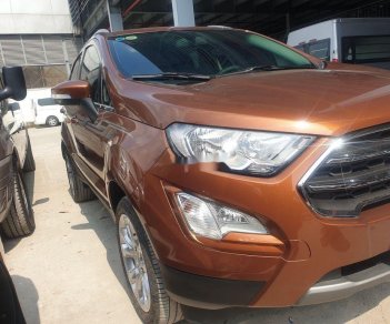 Ford EcoSport   Titanium   2019 - Cần bán lại xe Ford EcoSport Titanium sản xuất 2019, 580tr