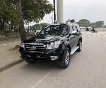 Ford Everest     2010 - Bán Ford Everest 2010, màu đen, 435 triệu