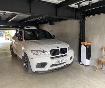 BMW X6   2010 - Bán BMW X6 đời 2010, màu trắng, nhập khẩu