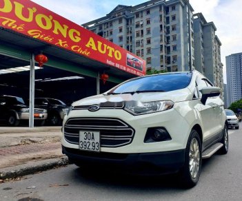 Ford EcoSport   2014 - Bán Ford EcoSport năm 2014, màu trắng, chính chủ