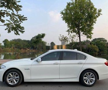 BMW 5 Series   2013 - Bán BMW 520i đời 2013, nhập khẩu nguyên chiếc giá cạnh tranh