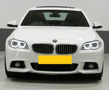 BMW 5 Series   2015 - Bán ô tô BMW 520i 2015, màu trắng, nhập khẩu, 900 triệu