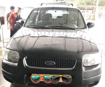 Ford Escape   2002 - Bán Ford Escape năm sản xuất 2002, xe nhập, giá 149tr