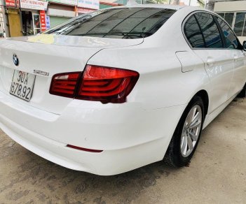 BMW 5 Series   2010 - Cần bán BMW 523i 2010, màu trắng, xe nhập 