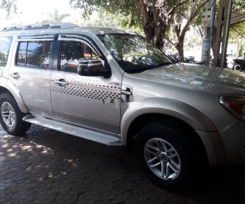 Ford Everest   2009 - Cần bán Ford Everest đời 2009, màu bạc, xe gia đình 