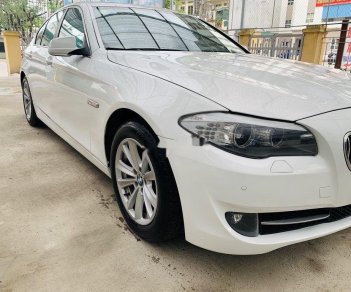 BMW 5 Series   2010 - Cần bán BMW 523i 2010, màu trắng, xe nhập 