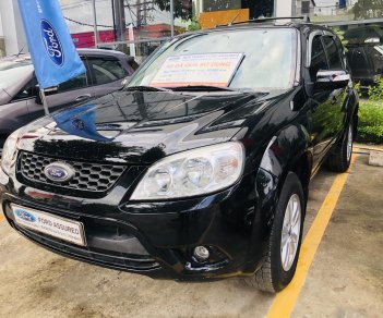 Ford Escape 2011 - Bán xe gia đình cực đẹp chiếc Ford Escape đời 2011, màu đen, giá cạnh tranh