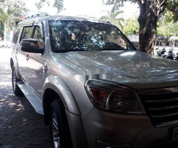 Ford Everest   2009 - Cần bán Ford Everest đời 2009, màu bạc, xe gia đình 