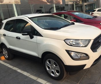 Ford EcoSport Titanium 1.0L AT 2020 - Bán xe Ford EcoSport Titanium 1.0L AT đời 2020, màu trắng, giá tốt