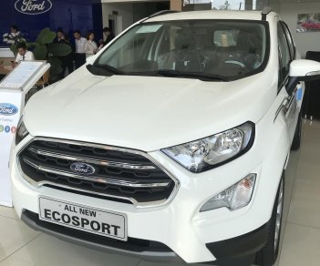 Ford EcoSport Titanium 1.0L AT 2020 - Bán xe Ford EcoSport Titanium 1.0L AT đời 2020, màu trắng, giá tốt