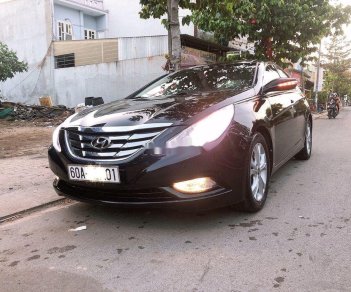 Hyundai Sonata 2010 - Cần bán xe Hyundai Sonata năm 2010, nhập khẩu