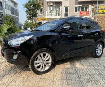 Hyundai Tucson 2010 - Bán ô tô Hyundai Tucson năm sản xuất 2010, xe nhập giá cạnh tranh