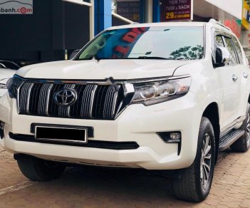 Toyota Prado 2010 - Bán Toyota Prado năm sản xuất 2010, màu trắng, nhập khẩu