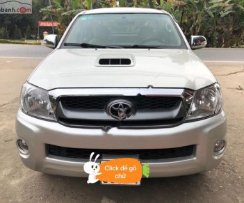 Toyota Hilux 2009 - Bán ô tô Toyota Hilux sản xuất năm 2009, màu bạc, 325 triệu