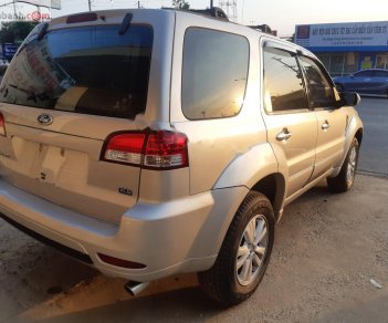 Ford Escape 2009 - Bán Ford Escape AT năm sản xuất 2009, màu hồng