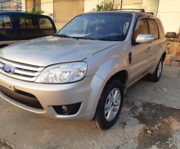 Ford Escape 2009 - Bán Ford Escape AT năm sản xuất 2009, màu hồng