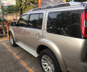 Ford Everest   2013 - Bán xe Ford Everest 2.5L 4x2 AT đời 2013, màu vàng, giá tốt