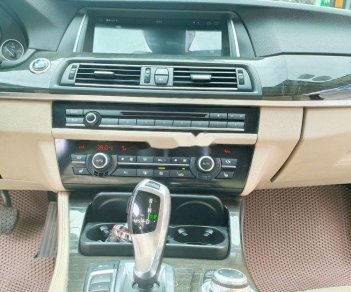 BMW 5 Series 2011 - Xe BMW 5 Series 523i sản xuất 2011, nhập khẩu nguyên chiếc