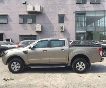 Ford Ranger   2013 - Bán ô tô Ford Ranger XLS MT 2013, giá 390tr