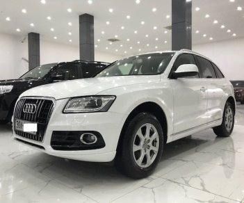 Audi Q5    2013 - Cần bán xe Audi Q5 năm 2013, xe nhập