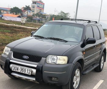 Ford Escape 2002 - Cần bán gấp Ford Escape 3.0AT đời 2002 số tự động