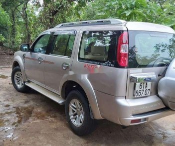 Ford Everest   2009 - Bán xe Ford Everest năm 2009, màu bạc