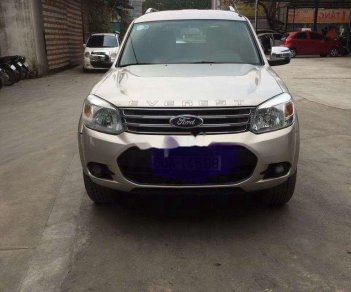 Ford Everest   2013 - Bán Ford Everest sản xuất năm 2013, màu hồng