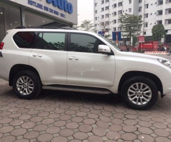 Toyota Land Cruiser 2010 - Xe Toyota Land Cruiser sản xuất 2010, xe nhập, giá tốt