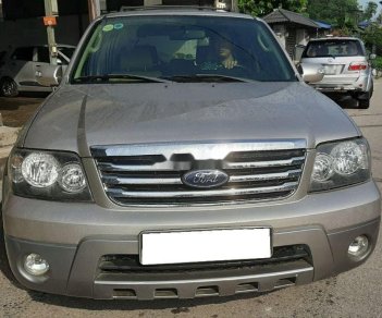 Ford Escape    2008 - Xe Ford Escape năm sản xuất 2008, giá 243tr