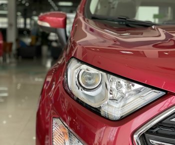 Ford EcoSport   2020 - Ford Ecosport 2020 khuyến mãi hấp dẫn