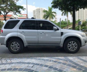 Ford Escape 2009 - Bán Ford Escape sản xuất 2009, màu bạc