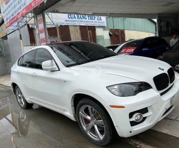 BMW X6    2010 - Bán BMW X6 năm 2010, màu trắng, nhập khẩu nguyên chiếc còn mới