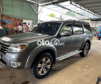 Ford Everest    2009 - Bán Ford Everest đời 2009, màu xám, nhập khẩu 