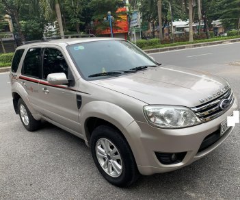 Ford Escape 2010 - Xe Ford Escape 2.3 XLS sx 2010, màu phấn hồng