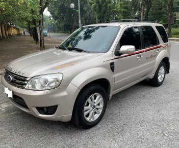 Ford Escape 2010 - Xe Ford Escape 2.3 XLS sx 2010, màu phấn hồng