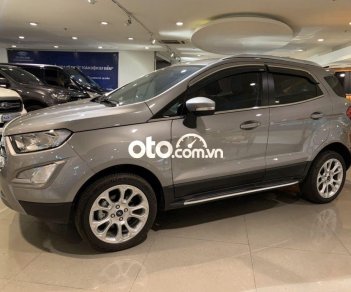 Ford EcoSport 2019 - Xe Ford EcoSport năm sản xuất 2019, màu xám