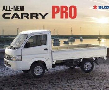 Suzuki Carry 2021 - Bán ô tô Suzuki New Carry Pro 2021 sản xuất năm 2021
