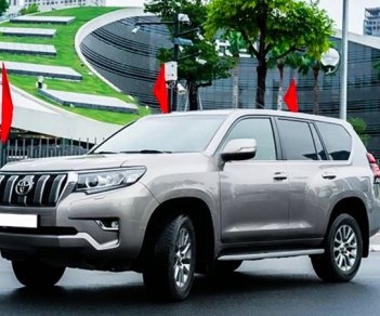 Toyota Prado   VX 2.7L  2020 - Bán xe Toyota Prado VX 2.7L đời 2020, màu xám, nhập khẩu chính chủ